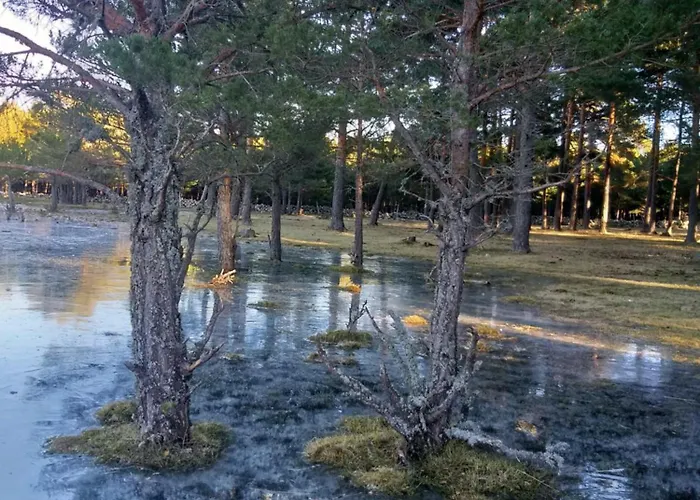 Casa Luenga * Vinuesa